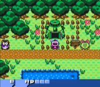 Bomberman Quest sur Nintendo Game Boy Color